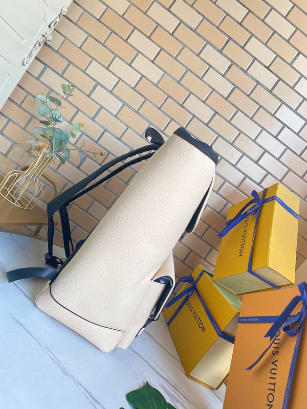 ルイヴィトンバッグ背面デザイン